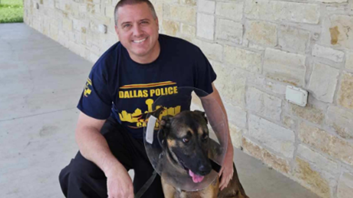 Dallas Police Shooting: K-9 Helped Save Partner, Chief Says | Wkyc.com