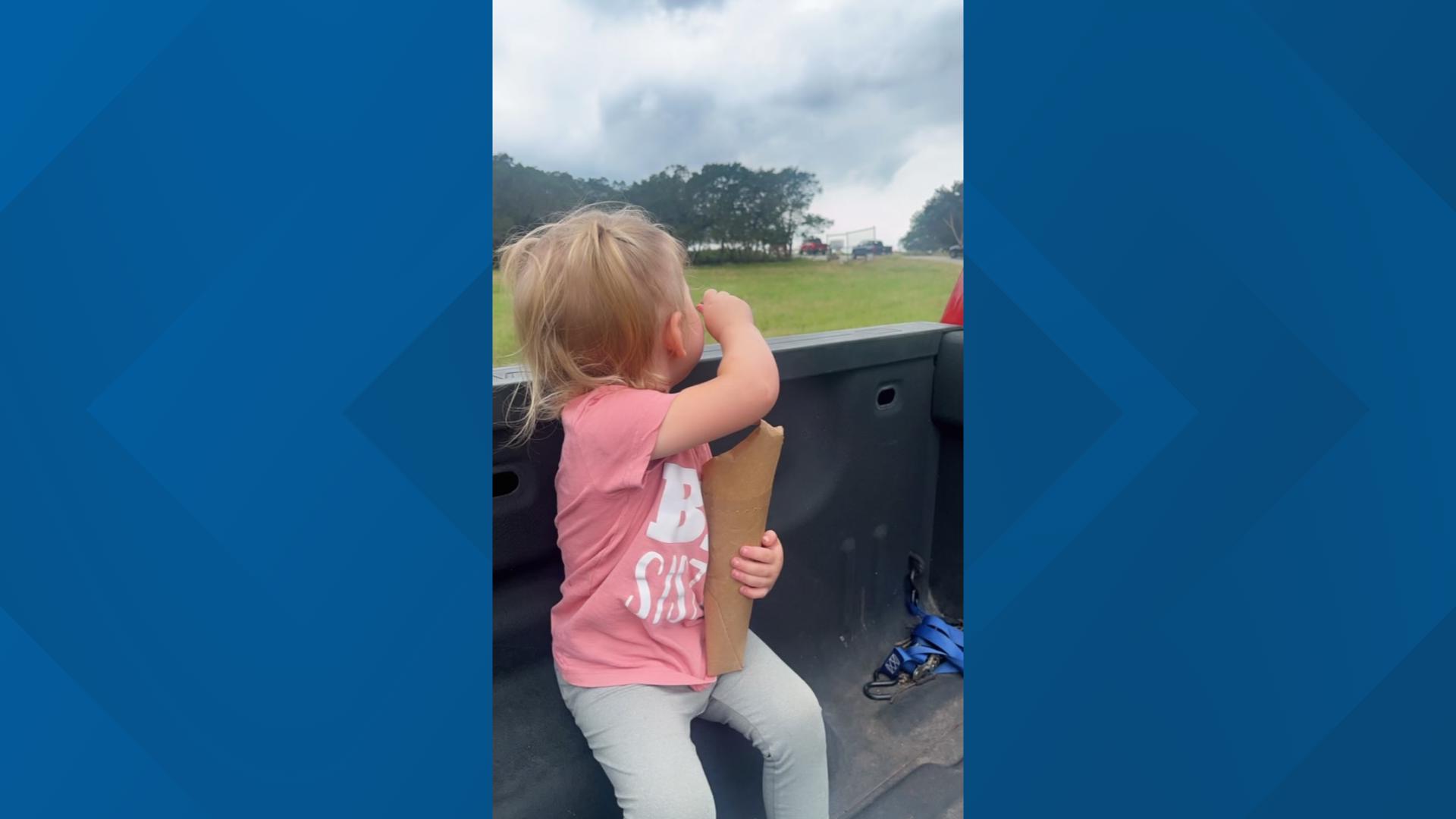 When 2-year-old Paisley Toten reached out to feed a giraffe, he opened wide and hoisted her up.