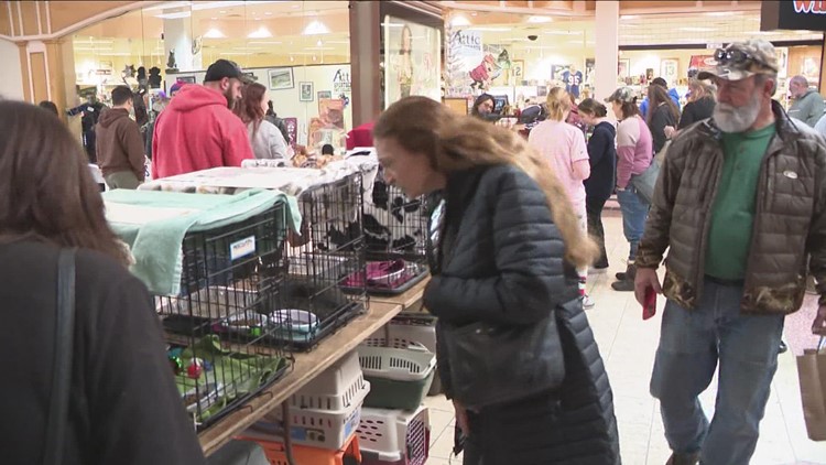 Thankful Fur Pets Expo event helps animals back into homes