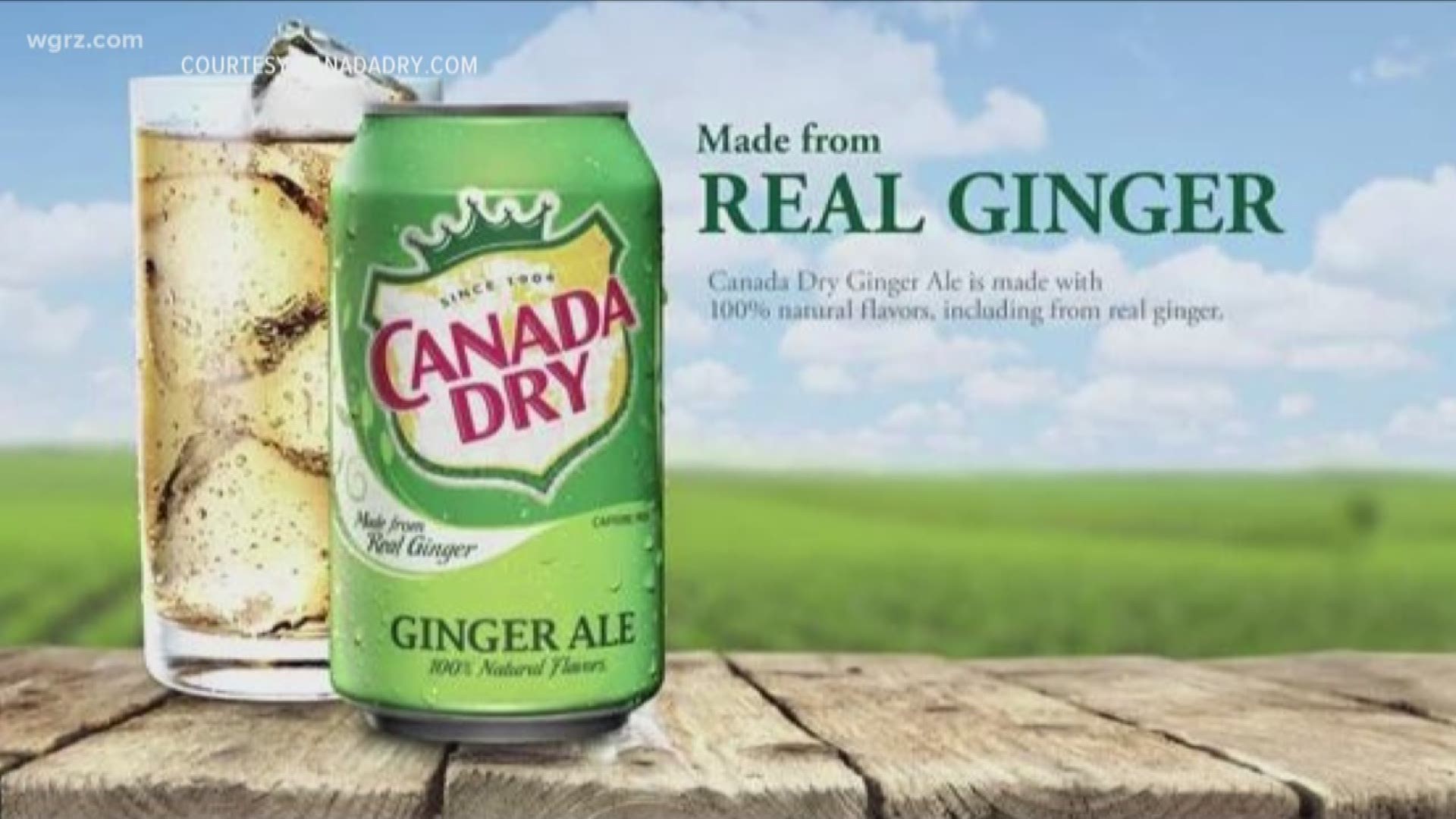 Canada Dry Lawsuit: No Ginger In Ginger Ale