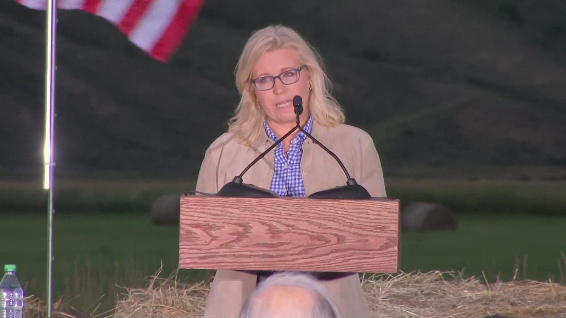Wyoming Rep. Liz Cheney, Donald Trump’s fiercest Republican adversary in Congress, was defeated in a GOP primary Tuesday.