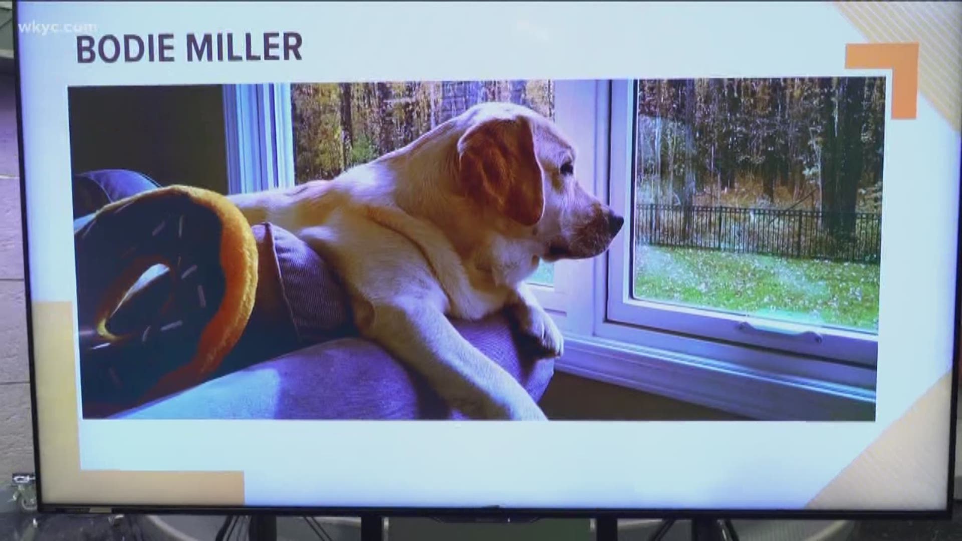 Doggone Weather: Bodie Miller