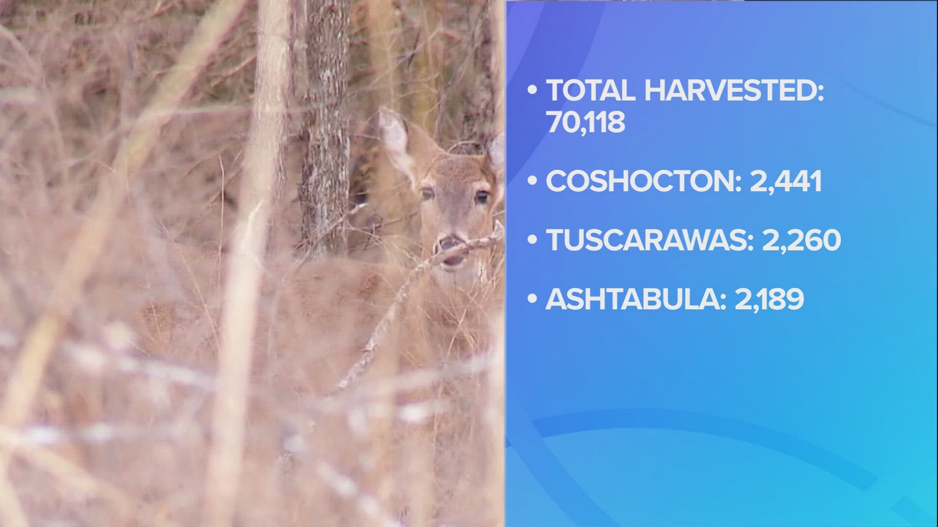 Ohio deer gun hunting season ends with over 70K harvests
