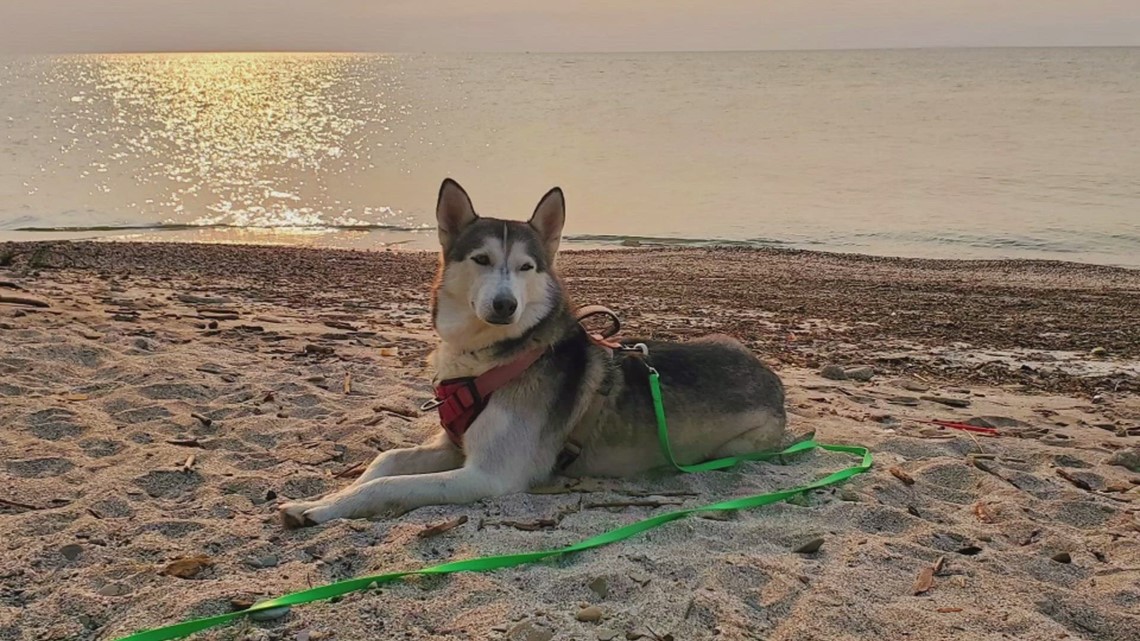 Doggone Weather Keweenaw