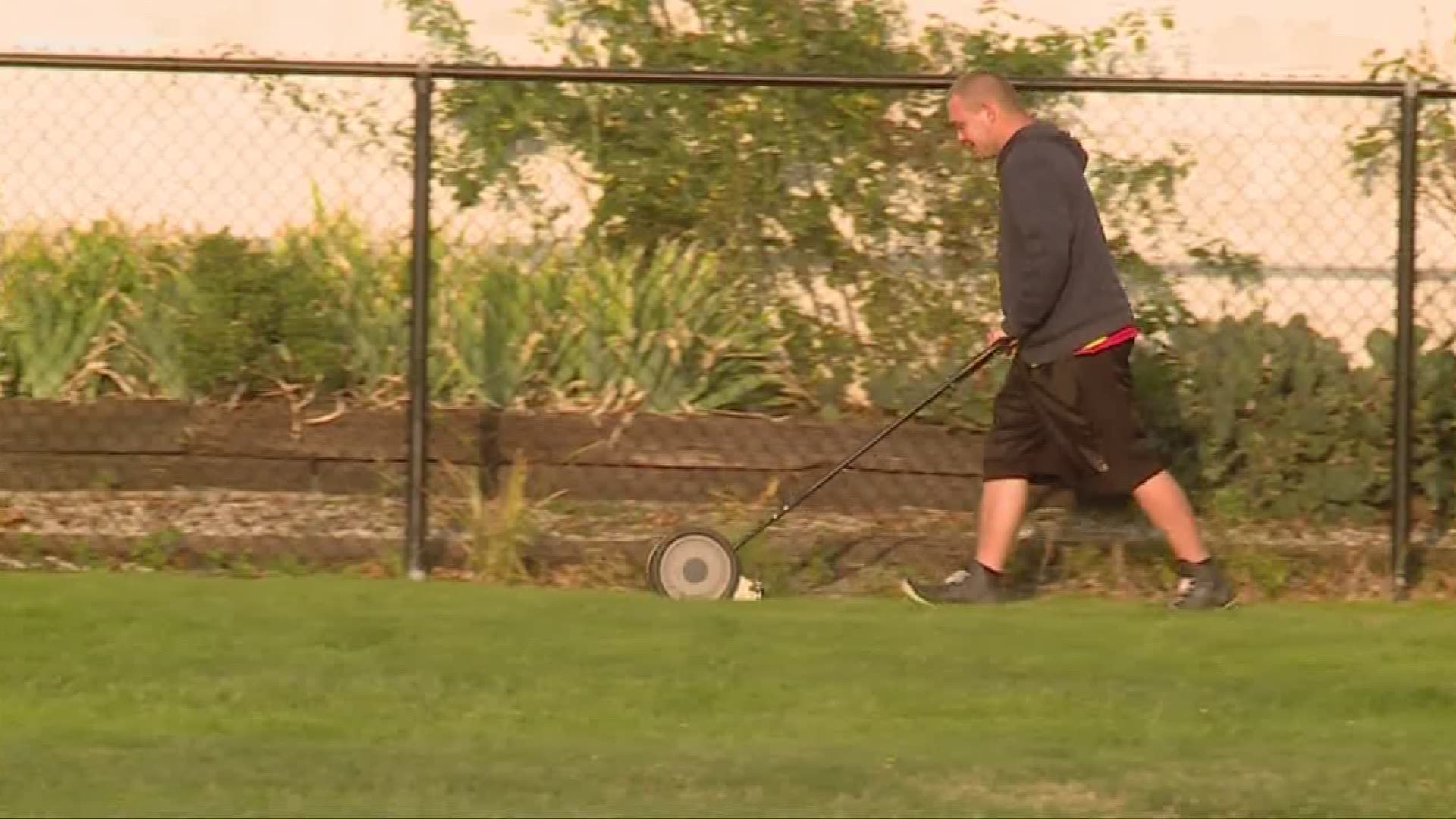 man sentenced to hand mow a football field after mowing obscenities into the lawn