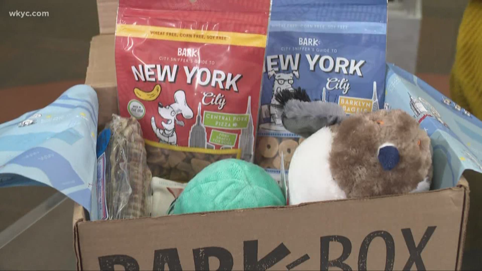 March 27, 2019: Is the BarkBox subscription service worth signing up for? We had Dorsena Drakeford explore the options.