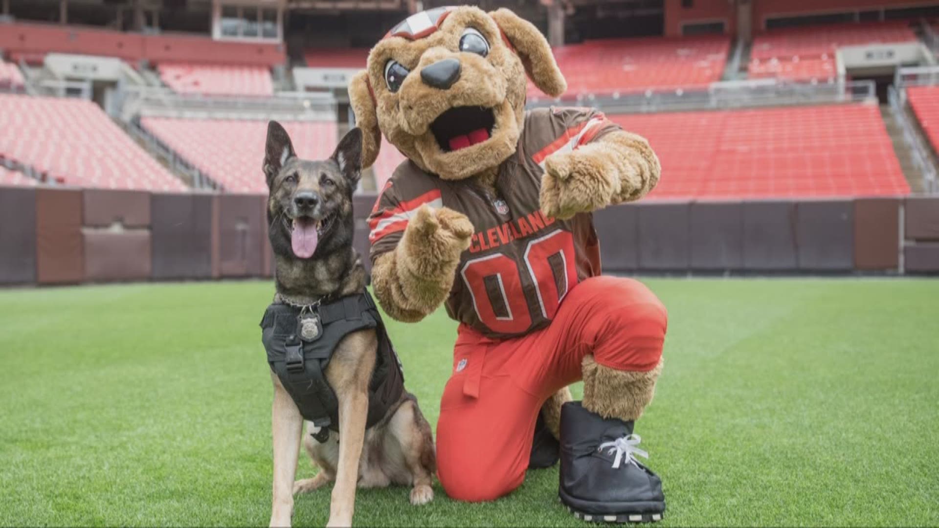 Pre-orders for the 2019 Cleveland Police dog and pony calendar are now on sale