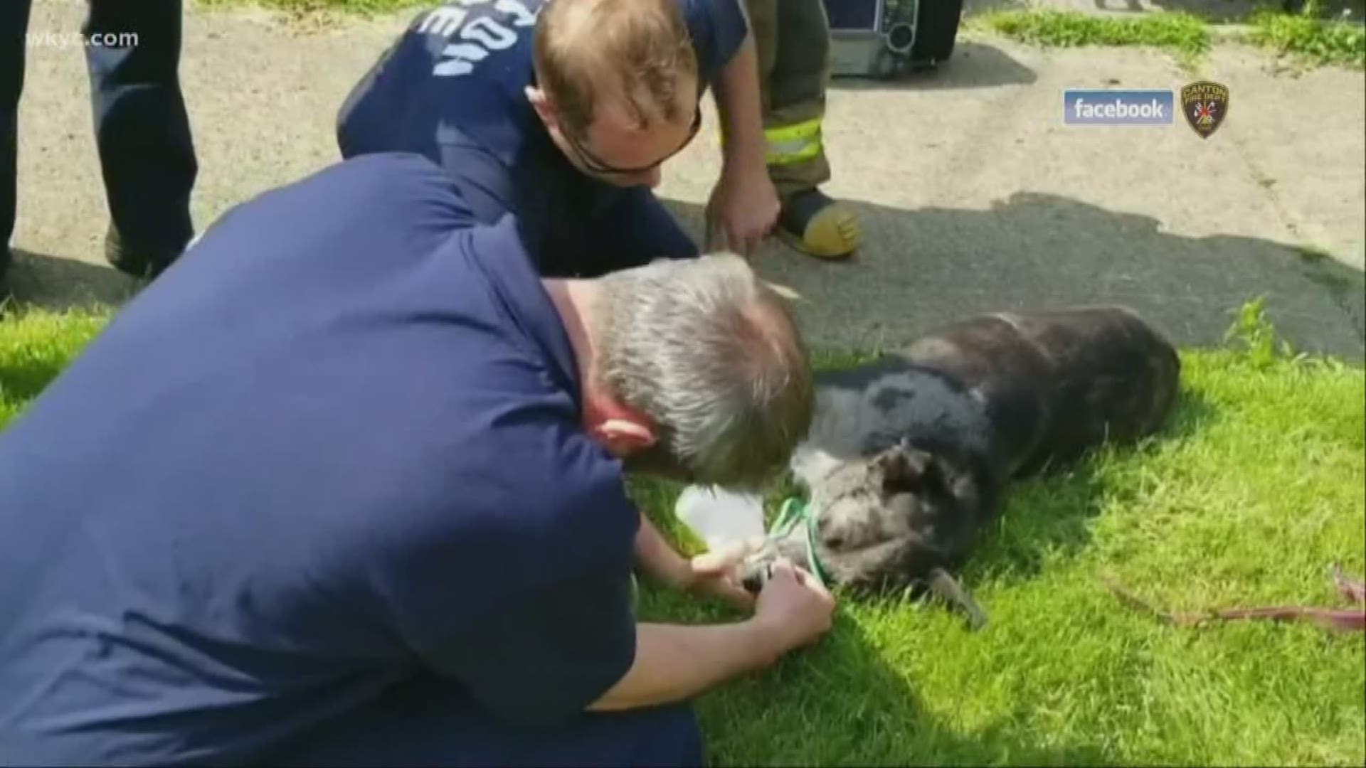On Tuesday, the Canton City Fire Department showed just what it means to go the extra mile as they rescued Dolly the dog from a burning house.