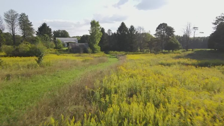 New 200 acre nature preserve coming to Medina County
