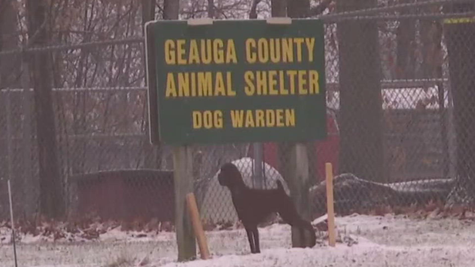 Geauga County Animal Shelter
