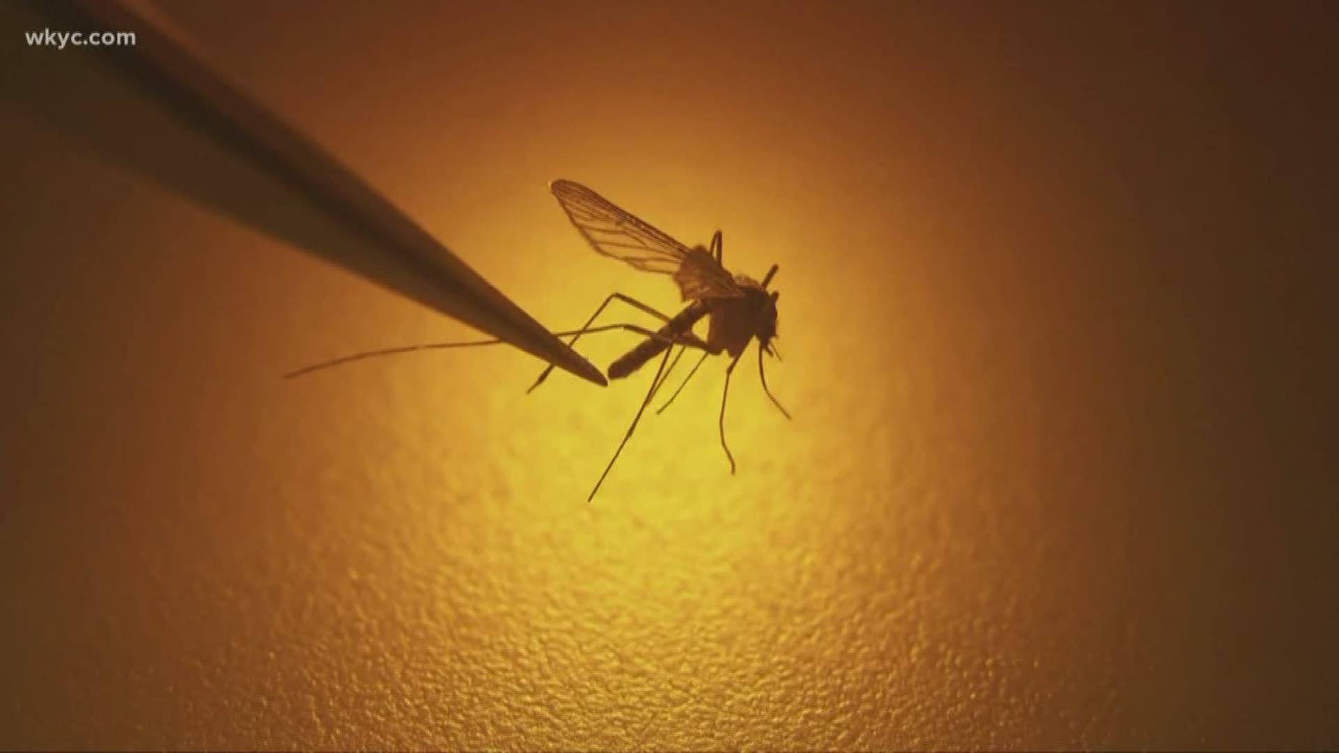 Health officials are on alert in Michigan after a 14-year-old girl contracted Eastern equine encephalitis (EEE), a rare and deadly mosquito virus that claimed the life of a Massachusetts woman over the weekend.