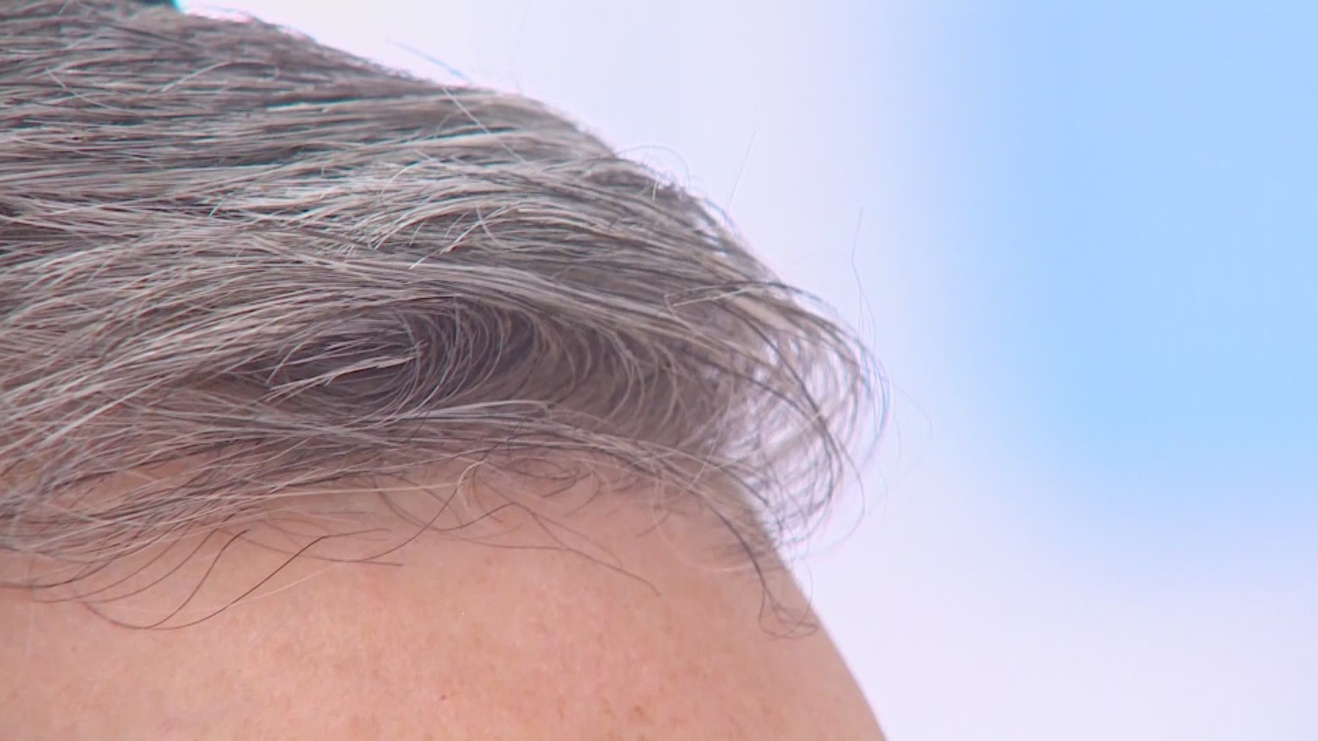 Does plucking gray hair cause more to grow back? The science behind the  silver strands 