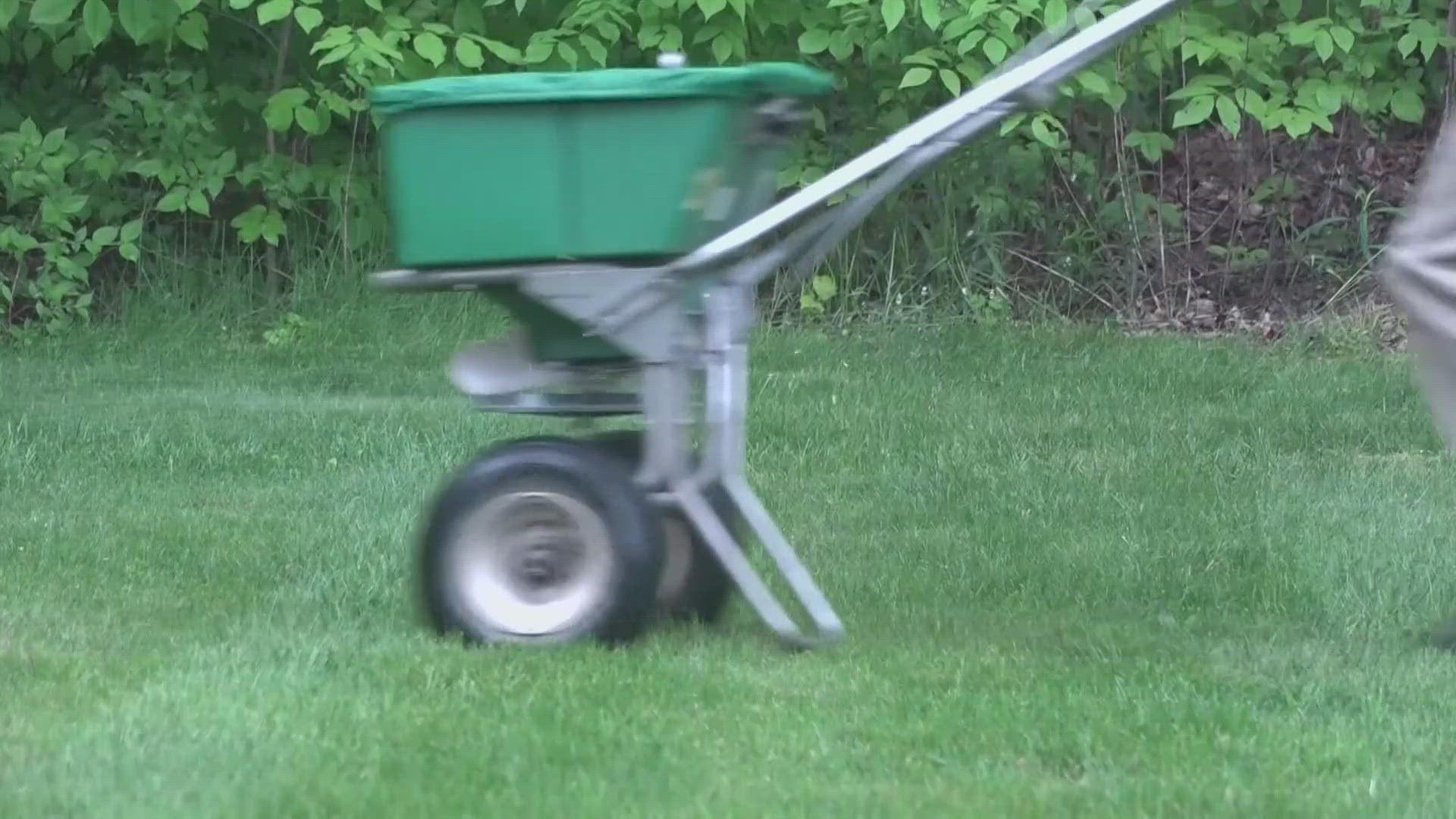 Want to make your lawn look as good as Progressive Field? Cleveland Guardians head groundskeeper Brandon Koehnke has three major tips.