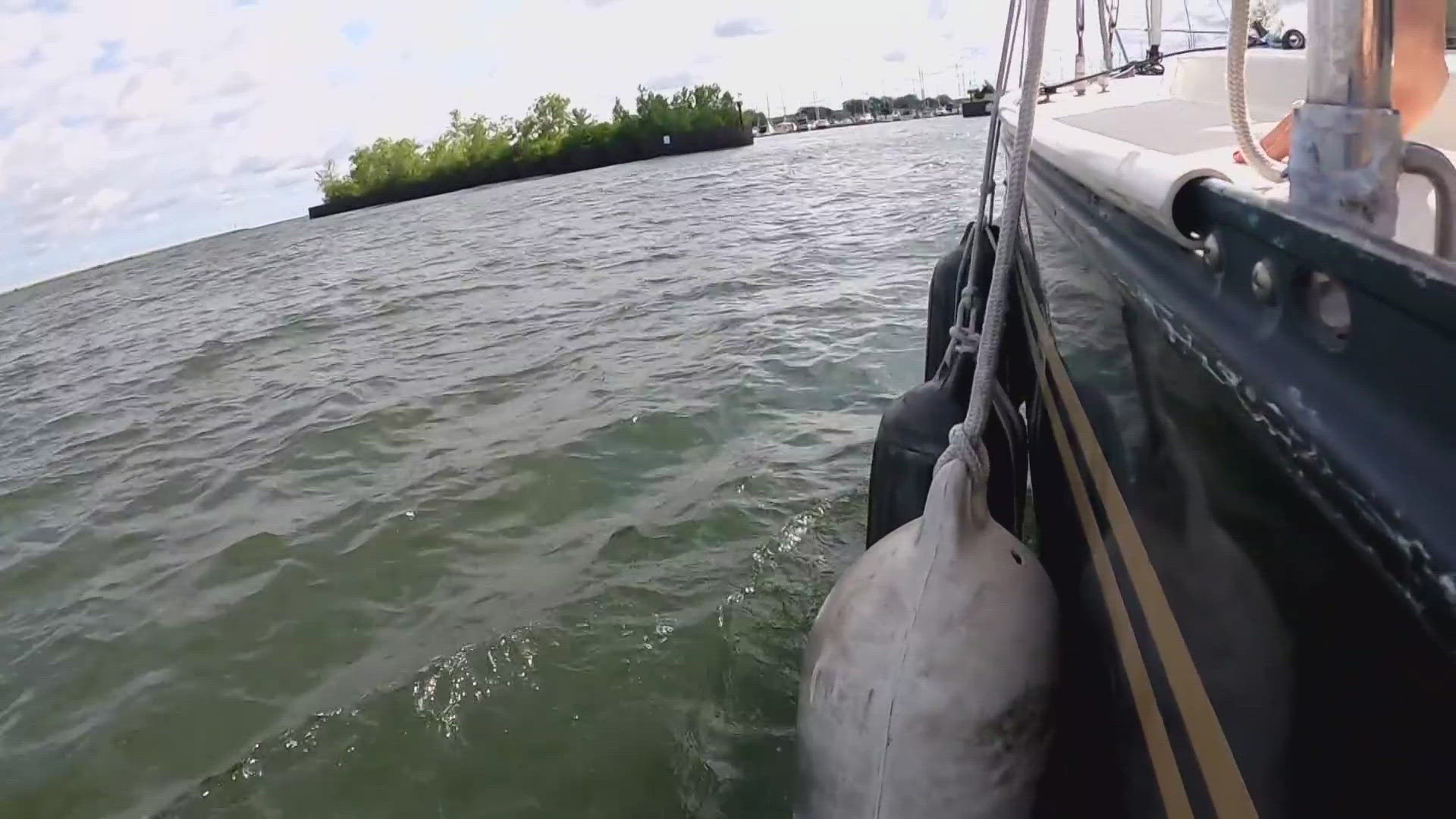 3News visited The Foundry to check out sailing during the Olympic Games.