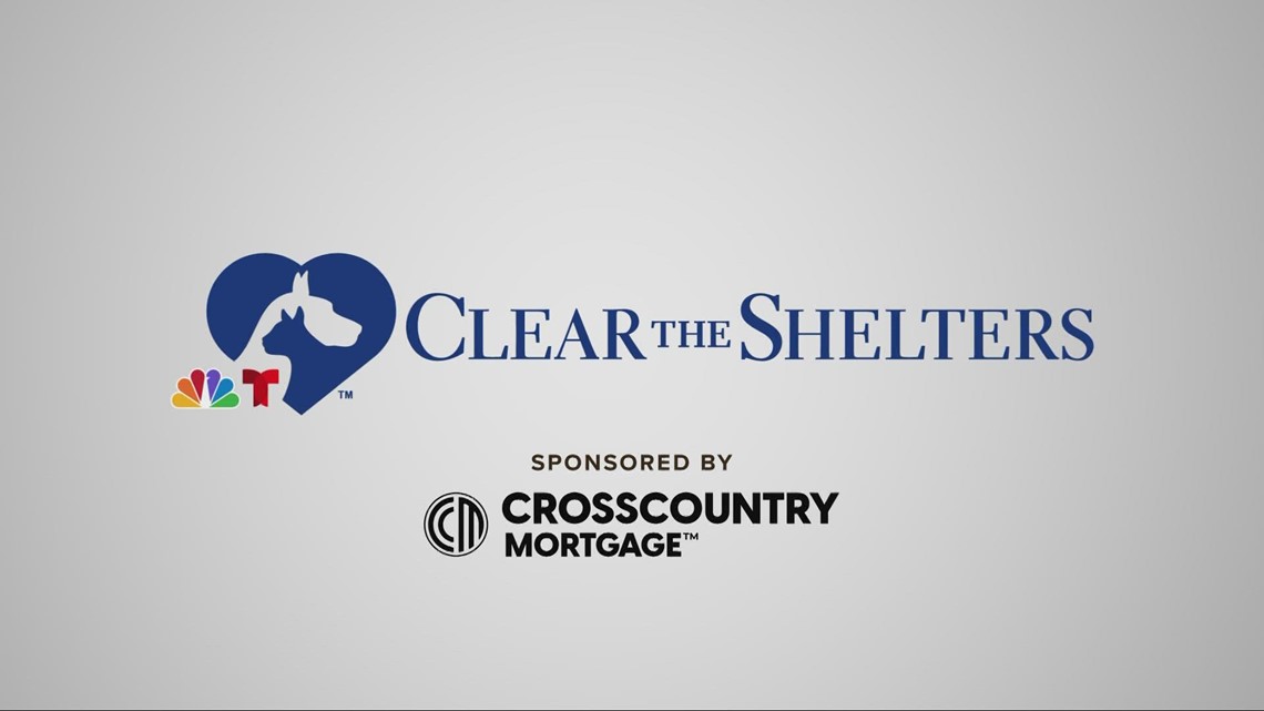 3News to kick off Clear the Shelters this weekend
