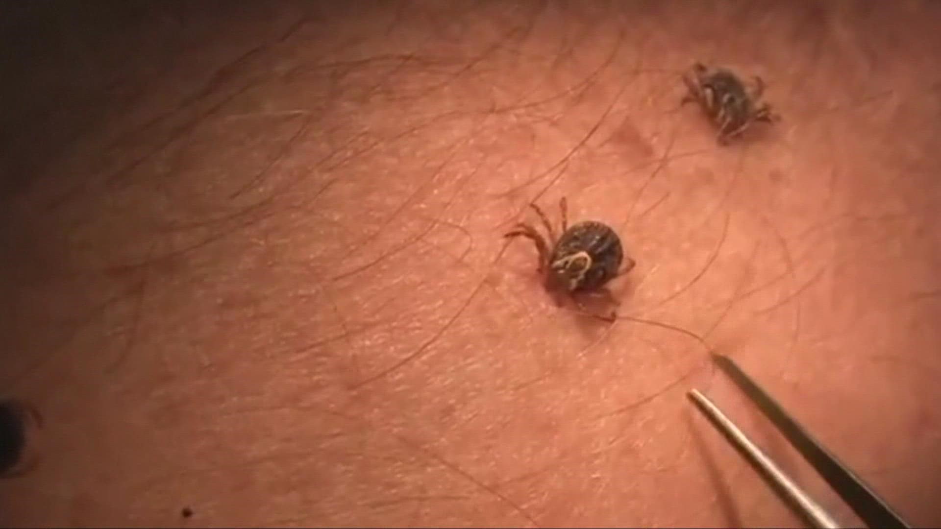Here's everything you need to know about ticks in Ohio.