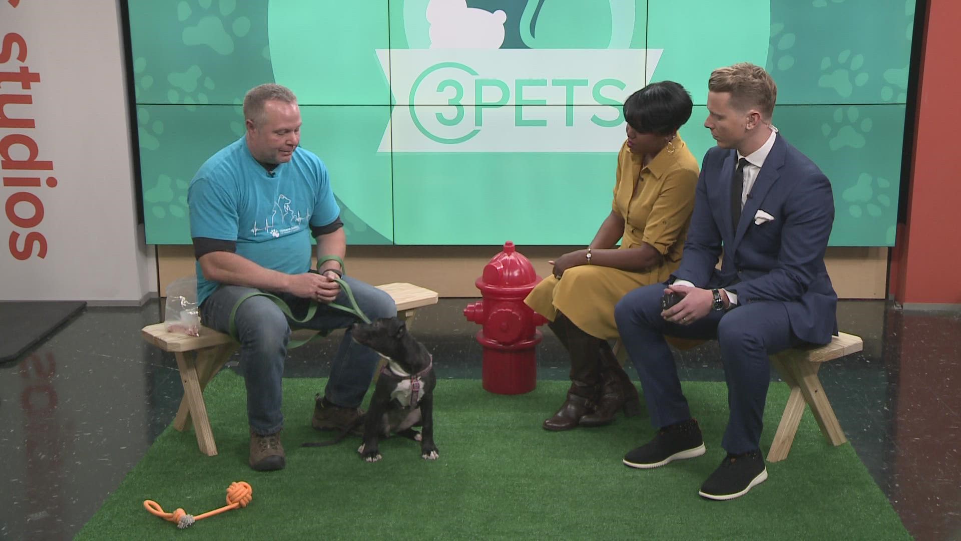 The Humane Society of Summit County visited 3News on Saturday morning.