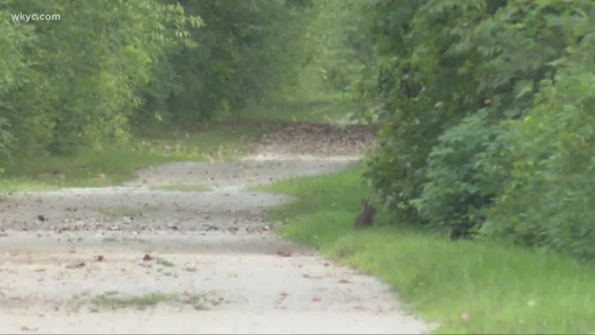 Another woman assaulted on popular nature trail