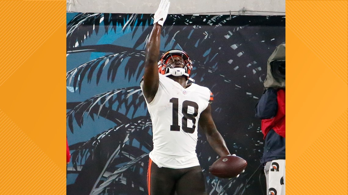 Browns WR Davis suspended 2 games by NFL