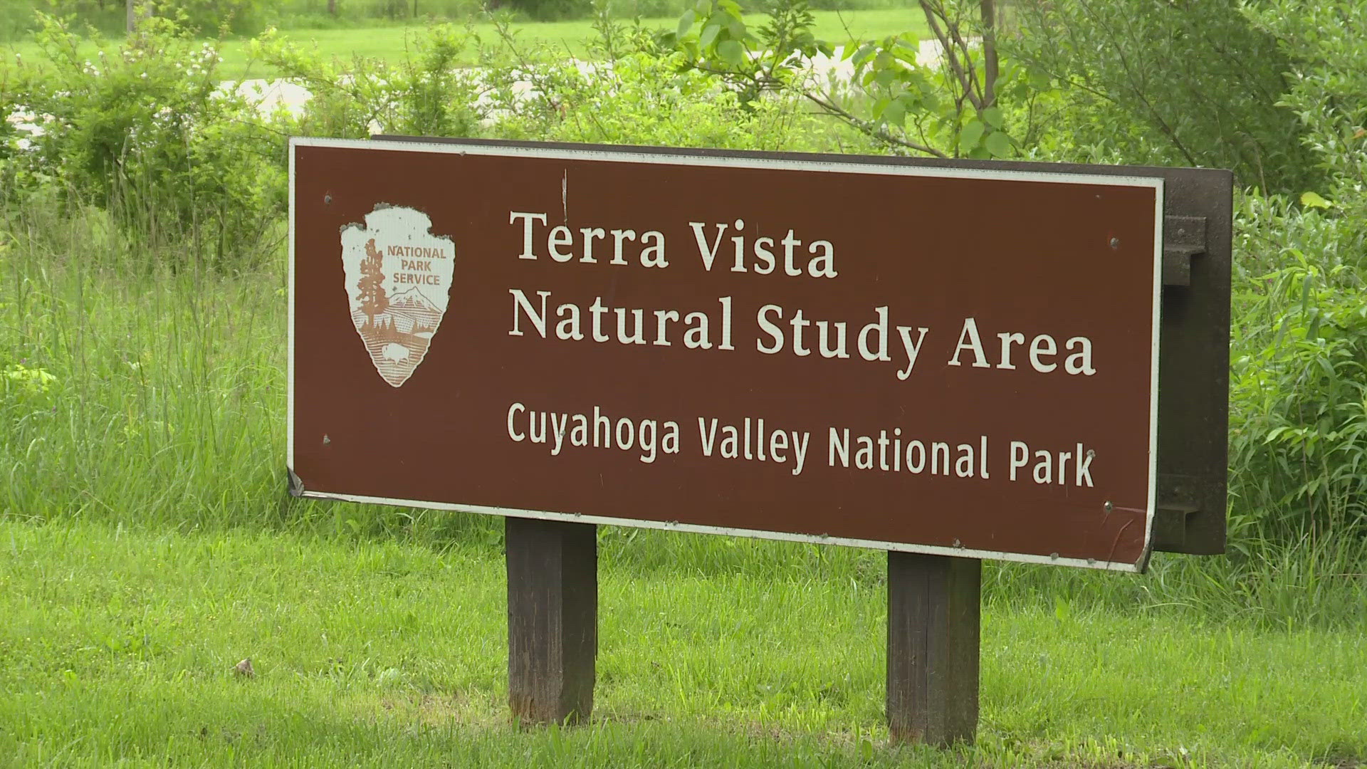 Chelsea Perkins, 35, admitted to shooting and killing Michael Dunmire at the Terra Vista Natural Study Area in Valley View. She's facing at least 20 years in prison.