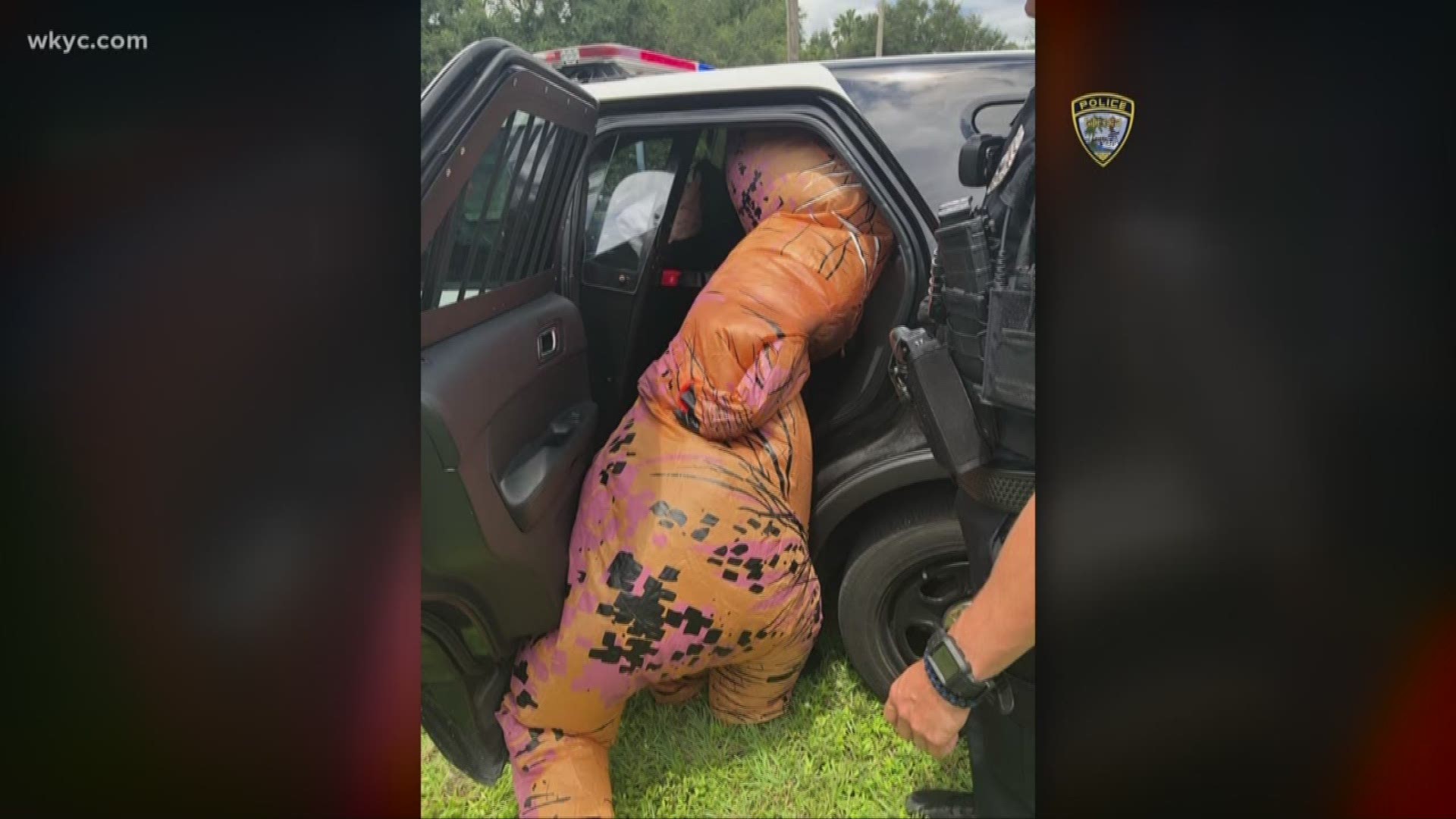 In an apparently humorous post about the incident,  the officer says he had a difficult time cuffing the dinosaur, because of his tiny arms, before cramming him into the back of a police car.