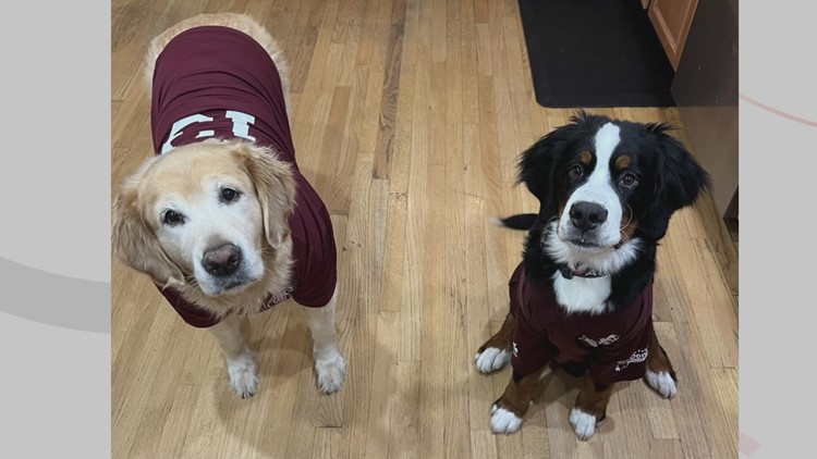 Doggone Weather:  Paisley & Hugo