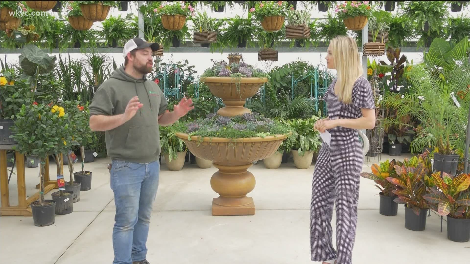 Alexa took a field trip to Bremec Garden Center to talk with Billy Herron to help your home blossom this season!