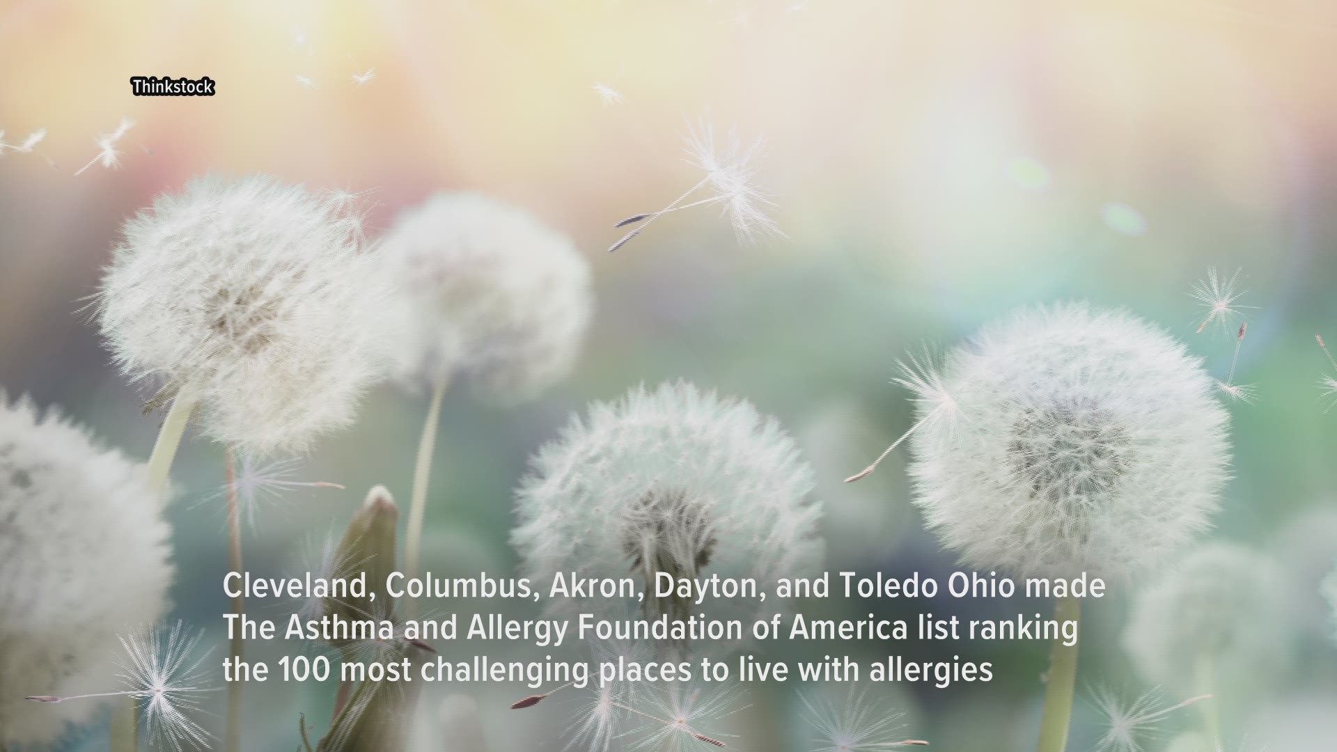 Cleveland, OH makes the list of 100 worst cities for allergies by The Asthma and Allergy Foundation of America