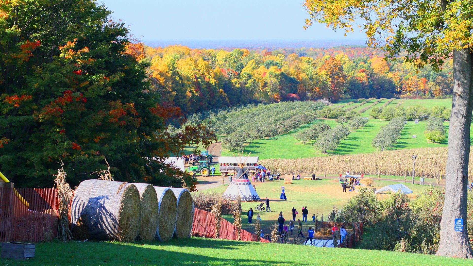 Mapleside Farms Cancels Magic Of Halloween Attraction Wkyc