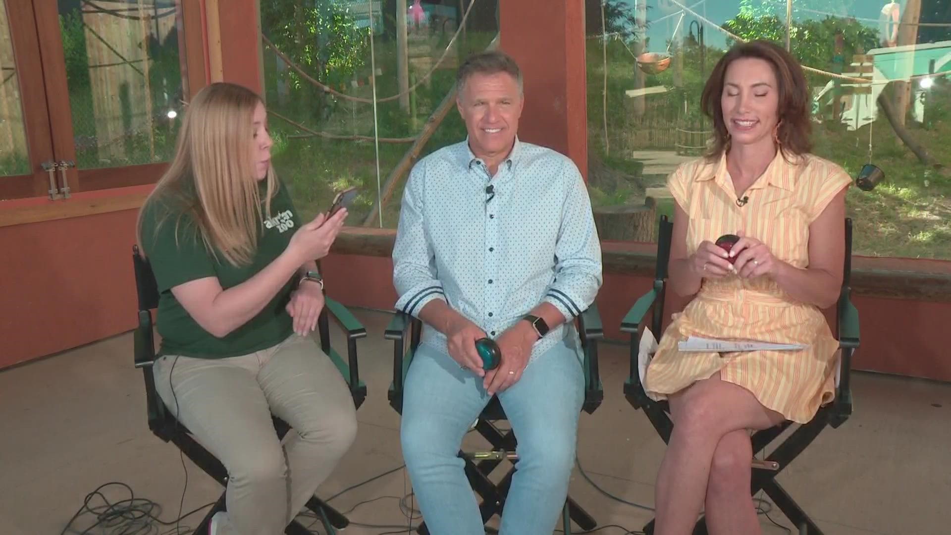 For this week's Throwdown Thursday, 3News anchors Jay Crawford and Betsy Cling go head-to-head over some animal trivia, with help from Elena at the Akron Zoo.