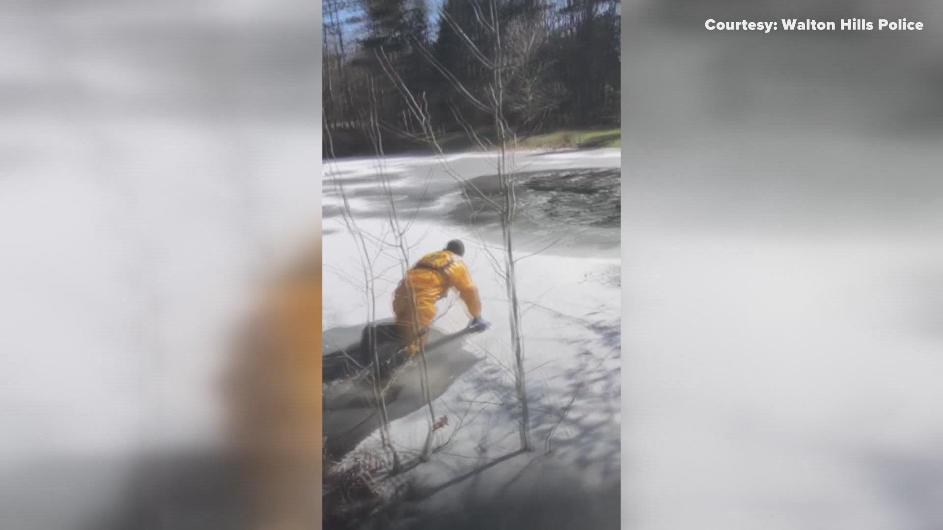 Oakwood Village fire and Walton Hills police saved a dog that fell through an icy pond. The dog was OK, according to authorities.