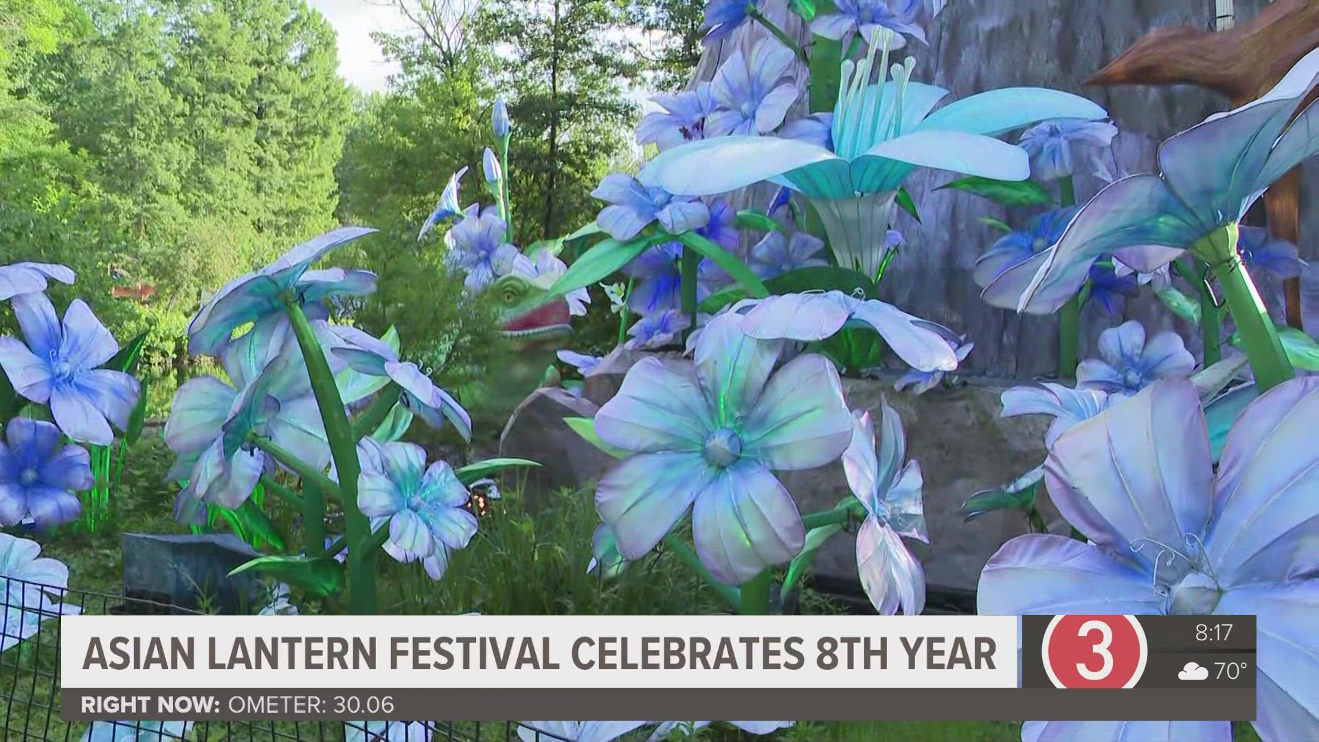 Heading to the Asian Lantern Festival at the Cleveland Metroparks Zoo? Come hungry! We're learning about some of the event's special food options.