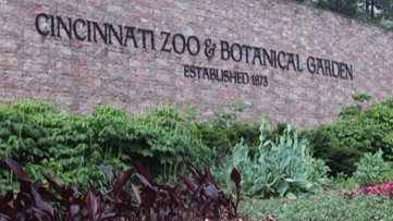 Cincinnati Zoo To Start Home Safari Facebook Live To Keep Kids