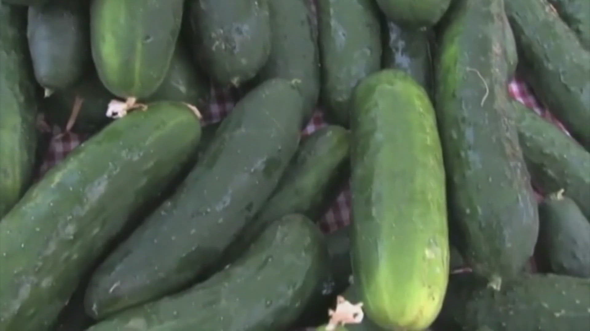 The cucumber recall was initiated because the Pennsylvania Department of Agriculture told the produce company that a product sample tested positive for salmonella.