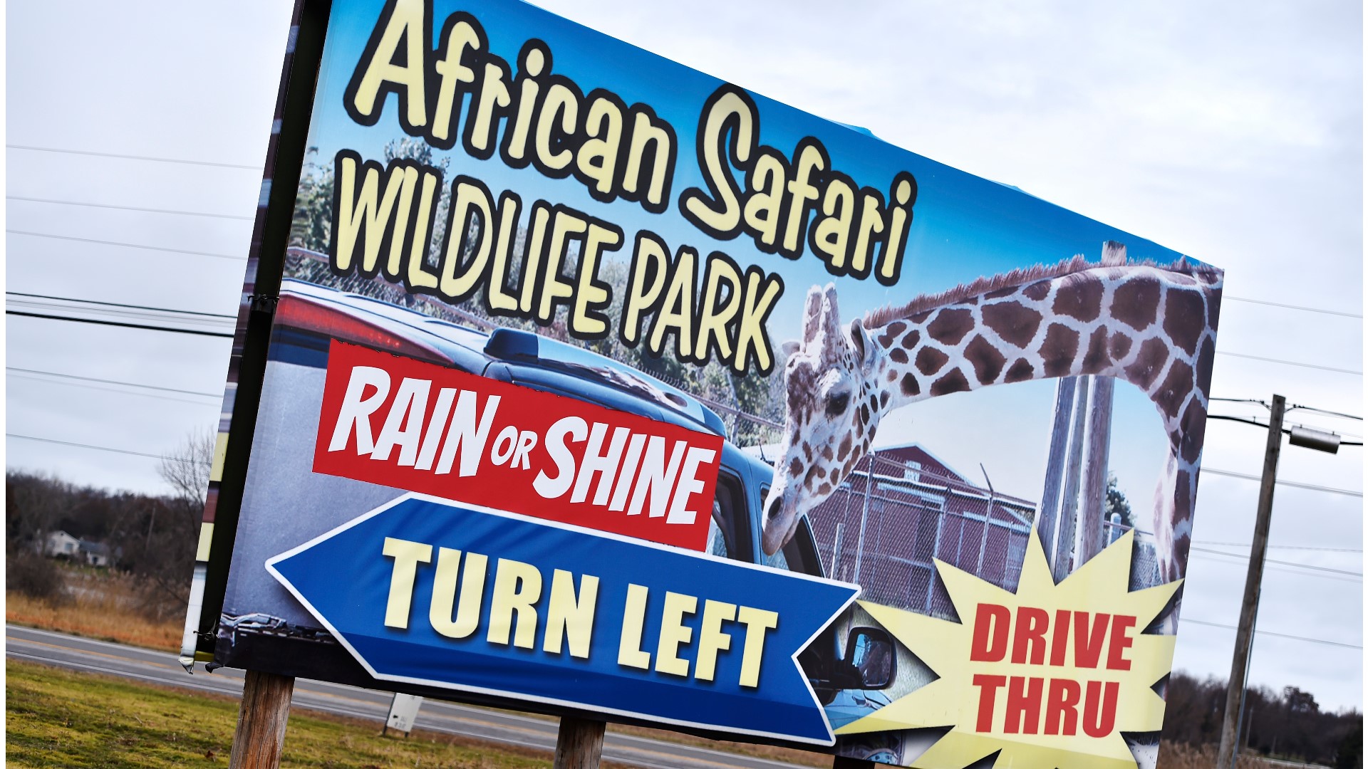 african safari wildlife park donation request
