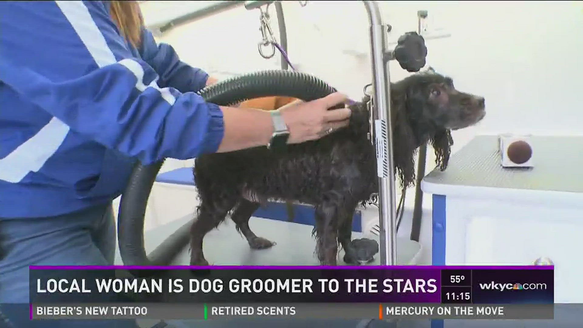 Local woman is dog groomer to the stars