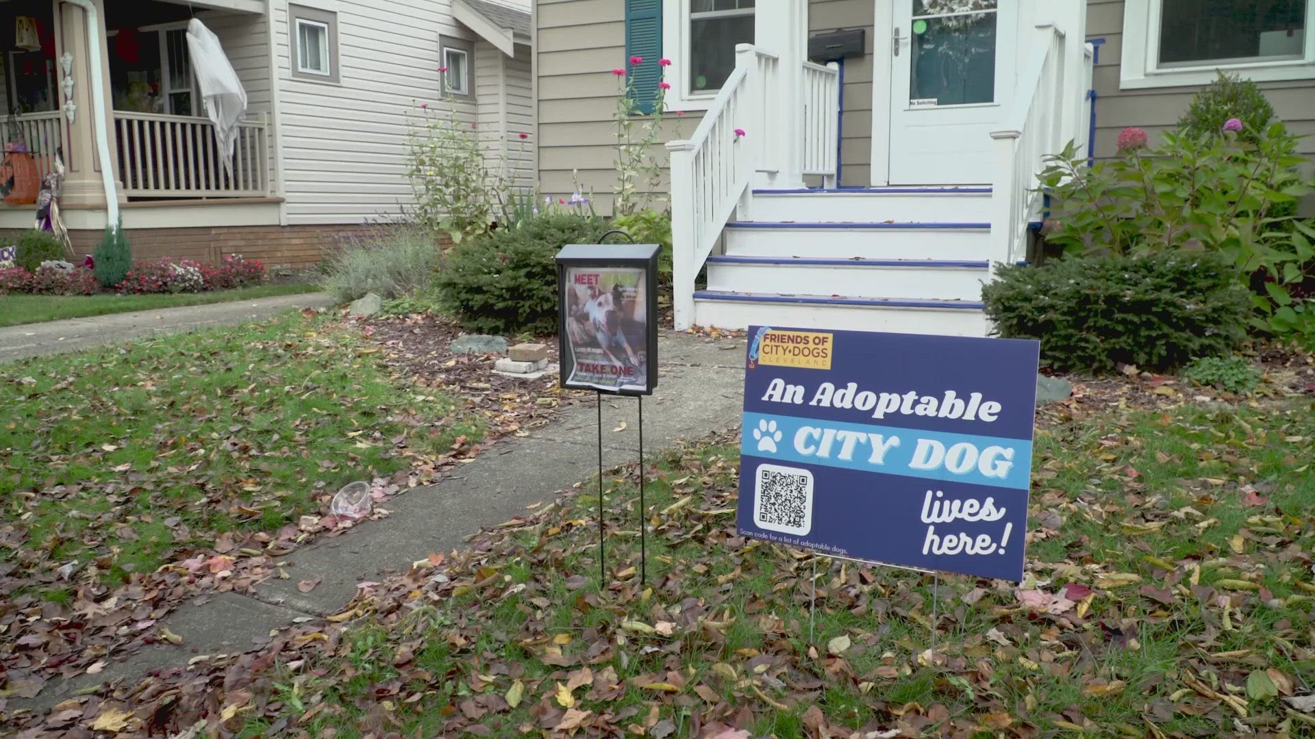 City Dogs launches new, "front yard" campaign to reach more potential adopters.