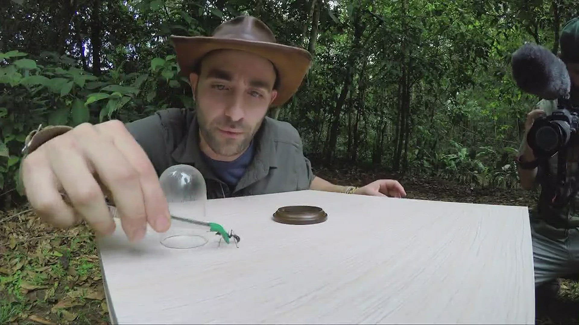Coyote Peterson getting global following