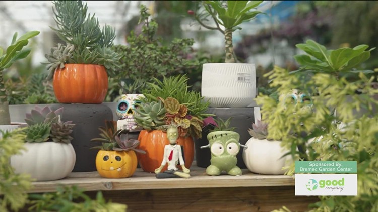 Decorate your home for fall!