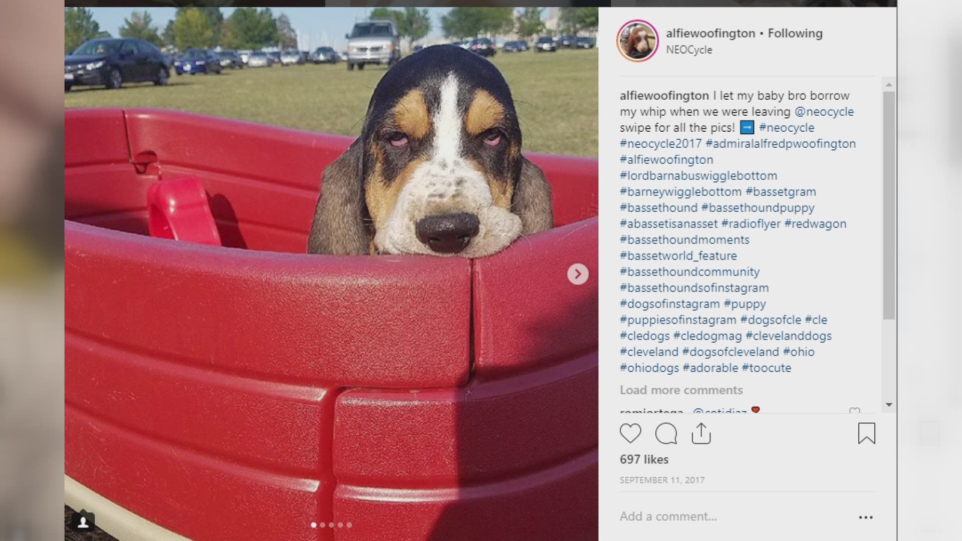 WKYC WEB EXTRA: Local dogs of Instagram