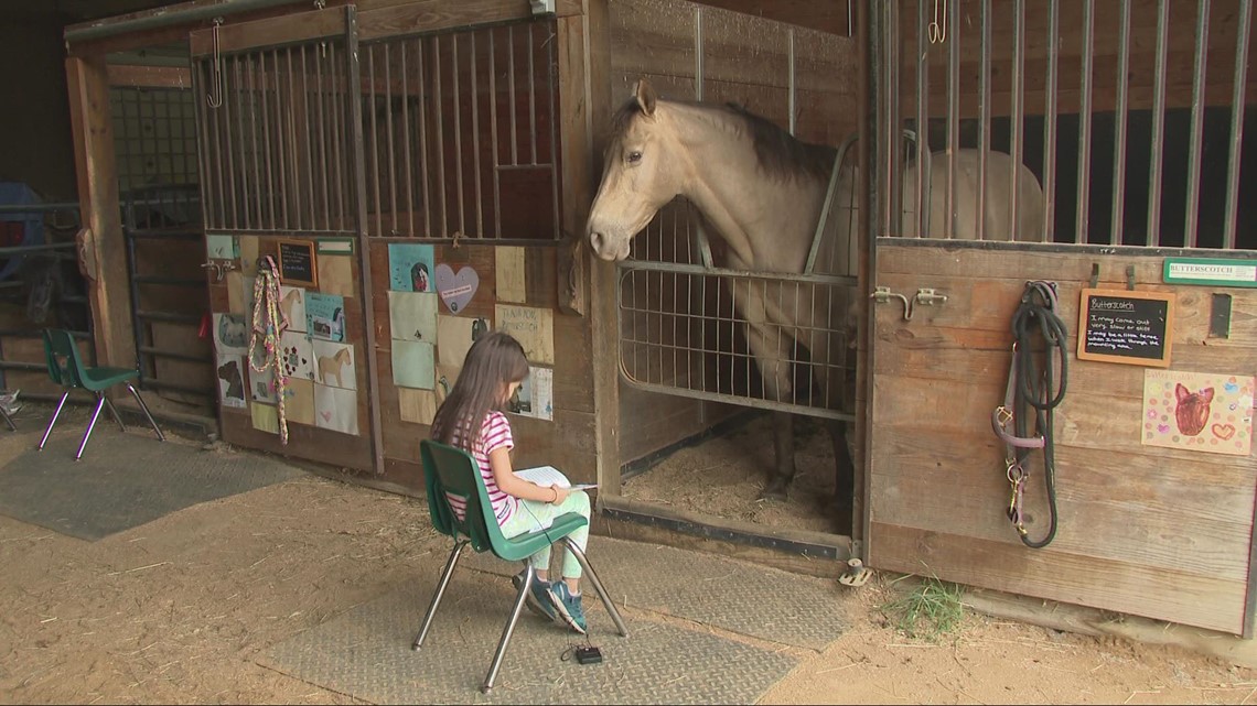 Education Station: Geauga County library gives kids opportunity to read to horses