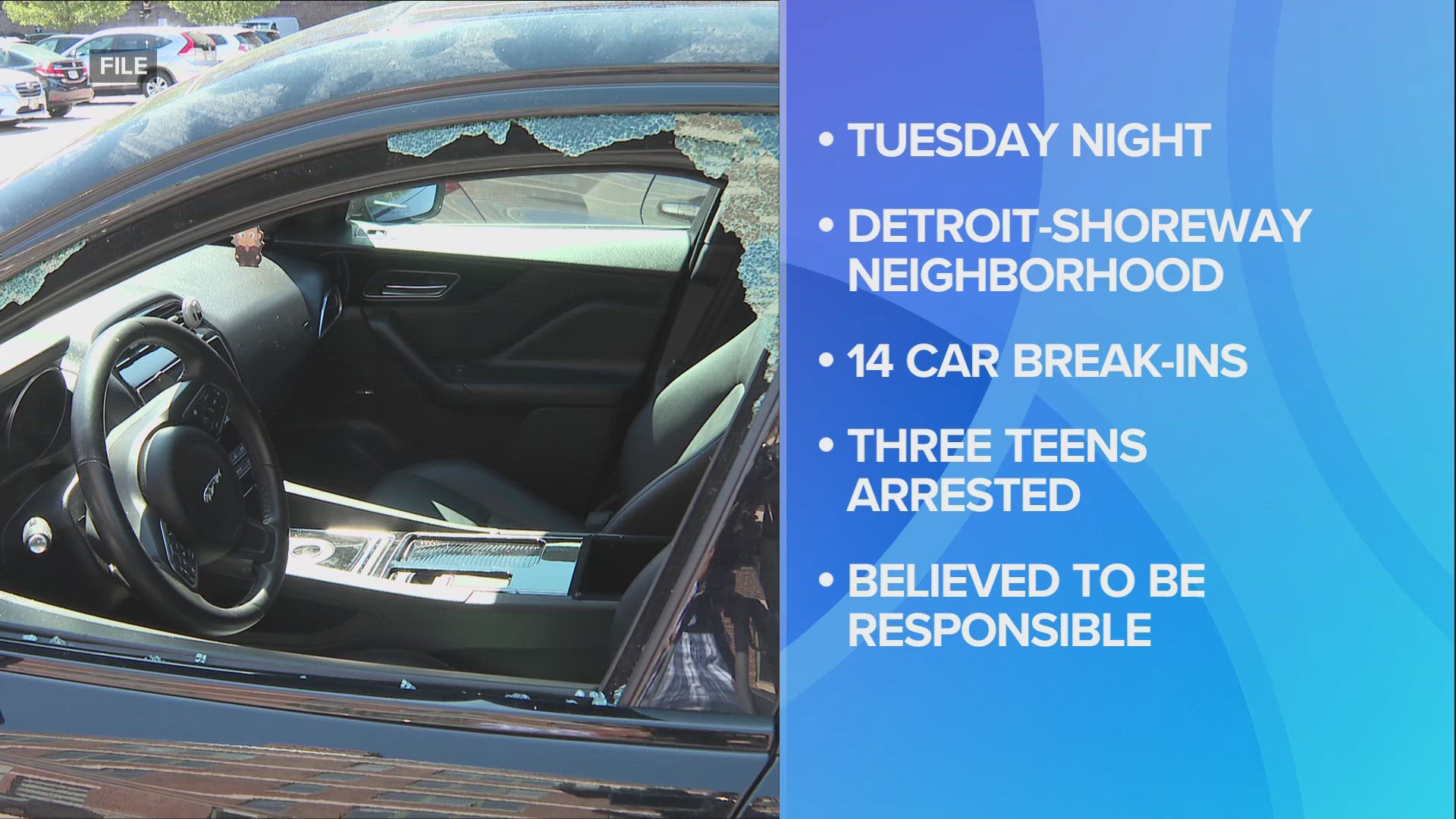 Three males, ages 14, 16 and 17, are alleged to have been involved in 14 reported car break-ins in the Detroit Shoreway neighborhood on Thursday.