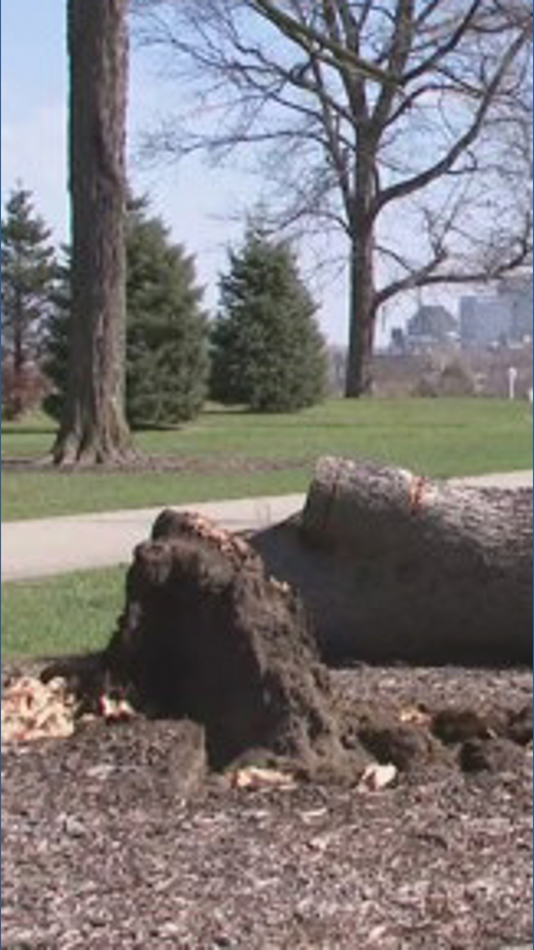 High winds causing power outages across Northeast Ohio | wkyc.com