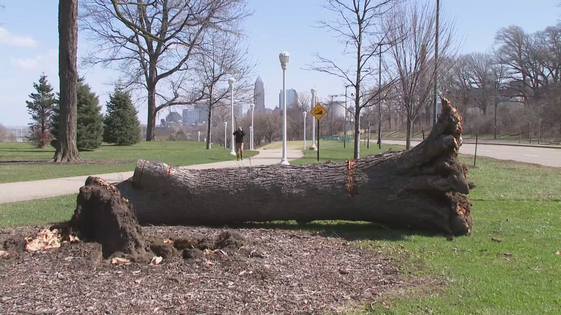 High winds causing power outages across Northeast Ohio | wkyc.com