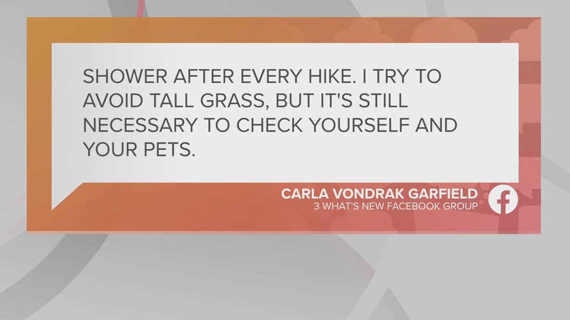 Question of the Day: What are your tips for checking for ticks?