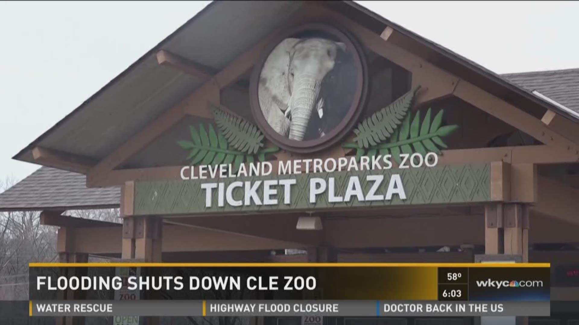 Cleveland Zoo closed Tuesday due to flooding | wkyc.com