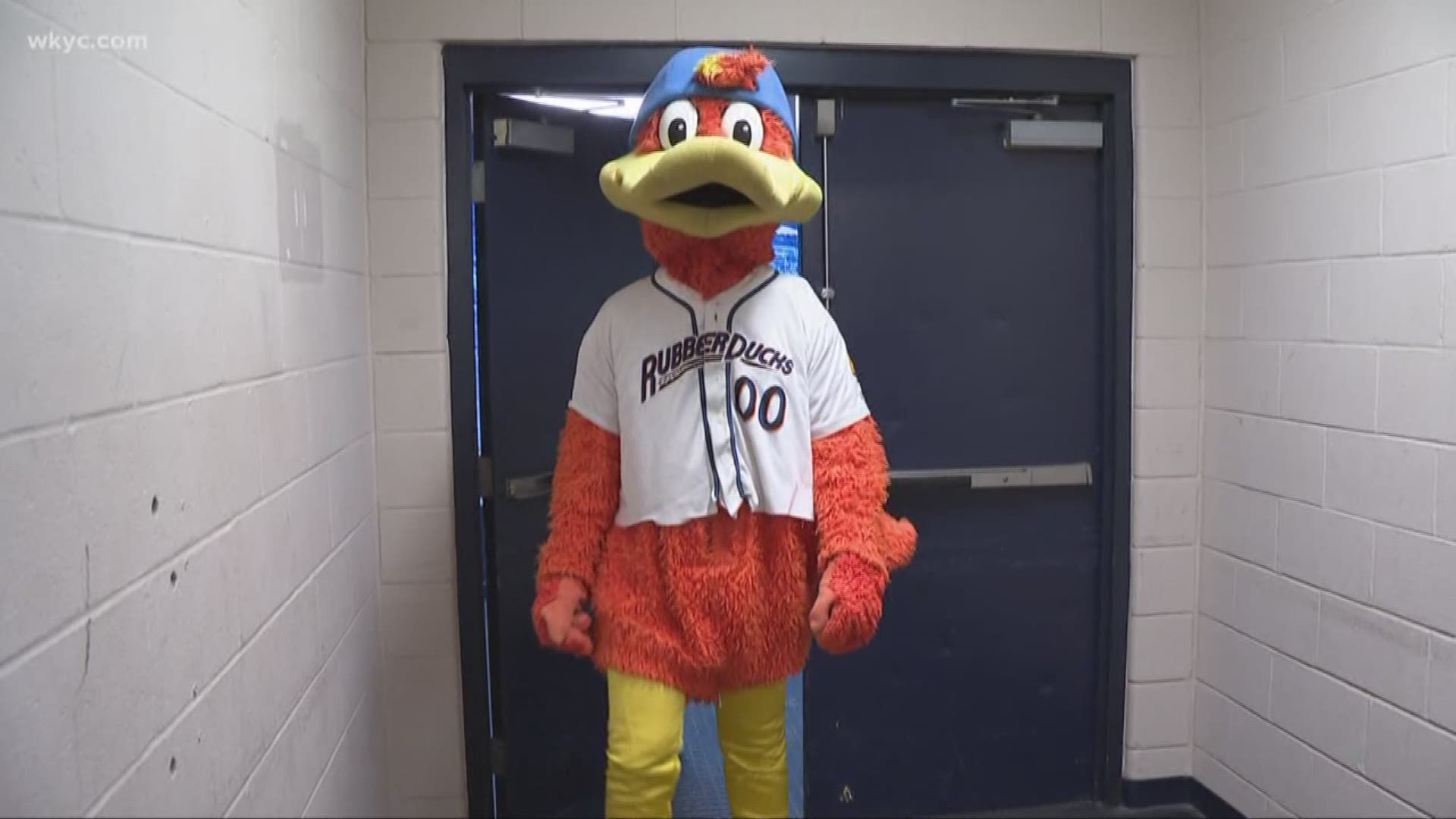 March 14, 2019: What does it take to become a mascot with the Akron Rubberducks baseball team? Our own Austin Love gave it a try.