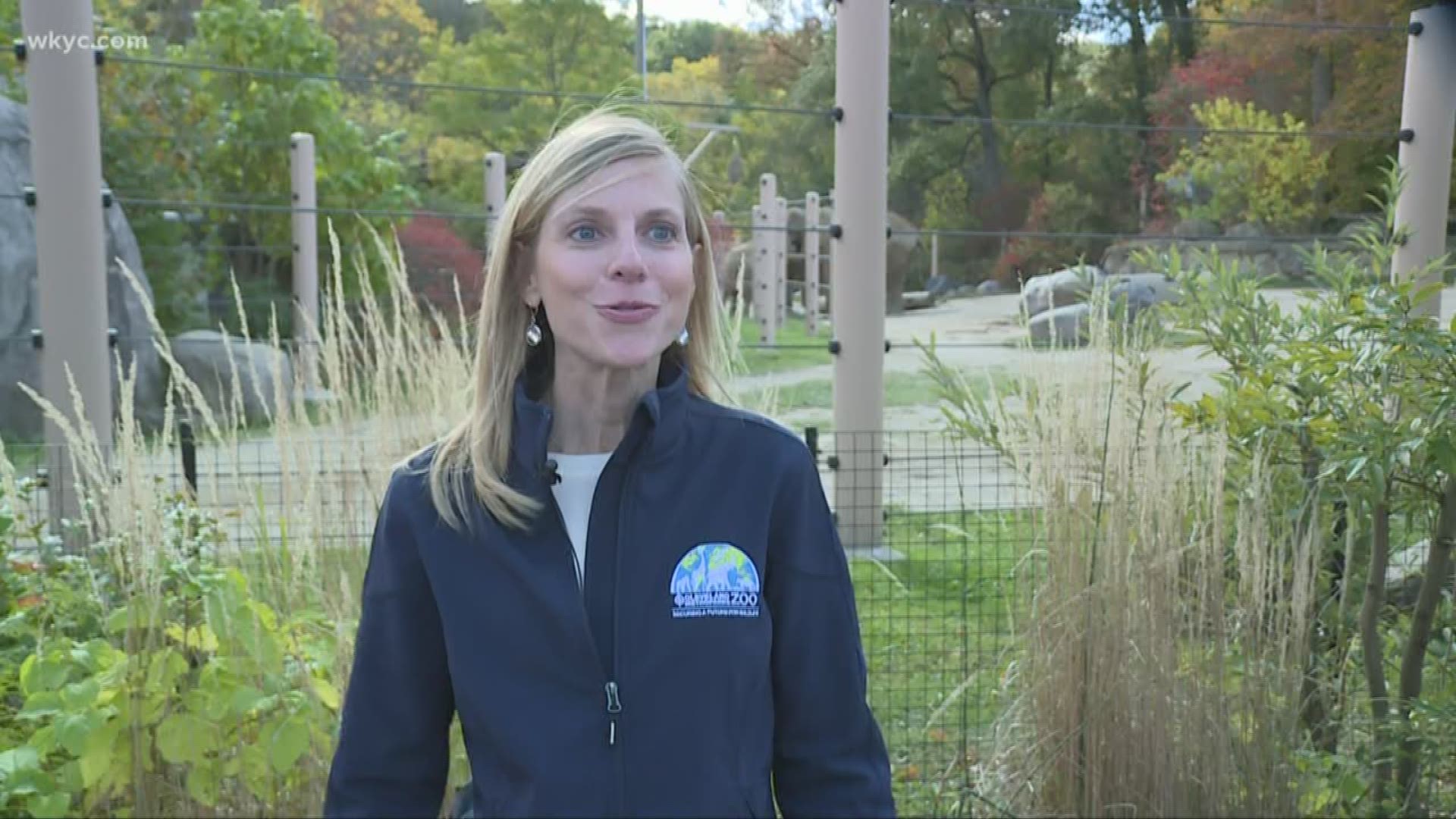 Wild winter lights coming to Cleveland zoo