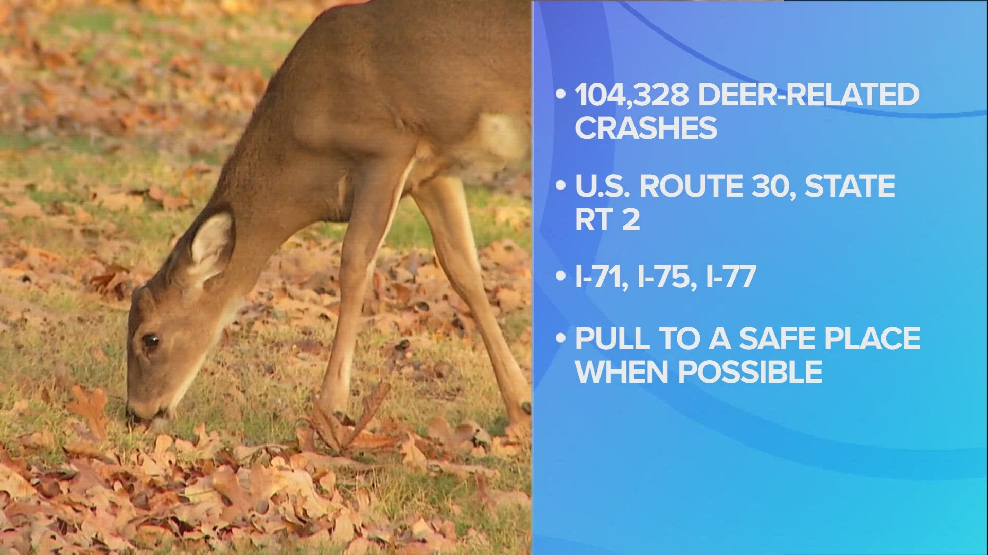 Data from the Ohio State Highway Patrol shows that since 2018, there have been 104,328 deer-related crashes.