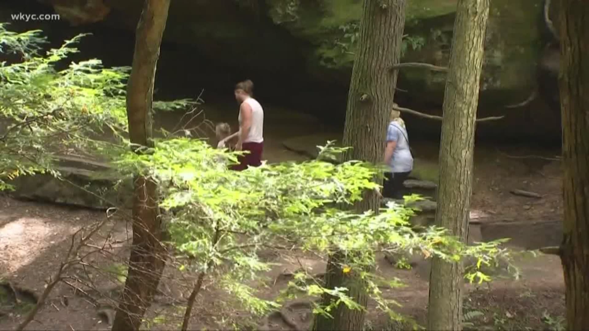 The Ohio Department of Natural Resources says a branch that hit and killed a woman on Labor Day was dislodged, and they are looking for people who may have been on top of the cave.